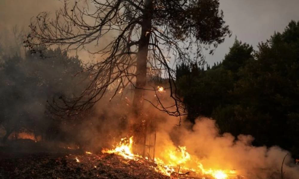 Φωτιά στα Βίλια: Ενισχύονται τα εναέρια μέσα πυρόσβεσης – Δύσκολες οι επόμενες ώρες - "Ανεβαίνει" το όρος Πατέρα η φωτιά